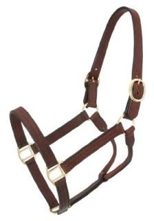 Yearling Brown - Tough 1 Royal King Leather Track Halter