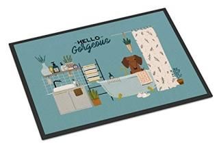 Caroline's Treasures Red Brown Dachshund in Bathtub Indoor or Outdoor Mat 24x36 