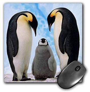 3D Ļ - ڥ󥮥² - ޥ ѥå - ޥѥå - mp_4180_1 