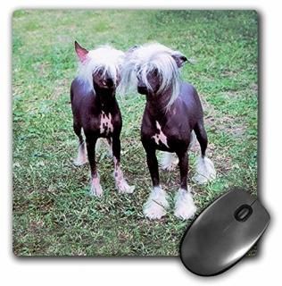 3D  㥤ˡ 쥹ƥå إ쥹 ɥå  㥤ˡ 쥹ƥå إ쥹 ɥå - ޥ ѥå - ޥѥå - mp_