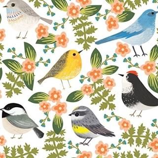 Jillson Roberts Designer Printed Tissue Birdies 24-Sheet Count