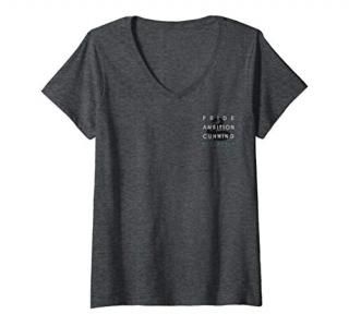 Womens Harry Potter Slytherin Pride Ambition Cunning Left Chest V-Neck T-Shirt