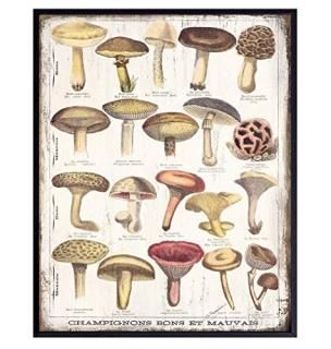 Vintage Rustic Mushroom Poster - 8x10 Larousse Gastronomique Mushroom Wall Decor