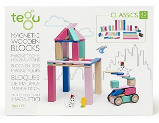 42 PIECE TEGU MAGNETIC WOODEN