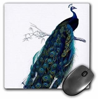 3droseơޥѥåMP 183272?_ 1?