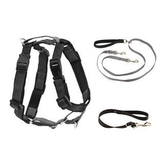 PetSafe 3 in 1 Harness with Two Point Control Leash - No-Pull Harness - Medium -