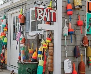 Springbok500ԡѥ Oh Buoy