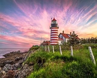 Springbok Puzzles - West Quoddy Head Lighthouse - 1000ԡ ѥ - L 30 x