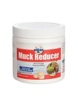 KoiWorx Muck Reducer 145 Tablets Dry Beneficial Bacteria Reduces Muck Sludge Org