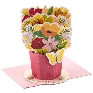 Hallmark Paper   ǰ ׹ ݥåץåץ ɽǽʥ֡