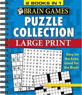Brain Games Large Print Find a Word