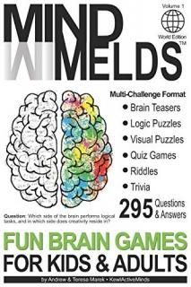 295 Fun Brain Teasers Logic/Visual Puzzles Trivia Questions Quiz Games and Riddl