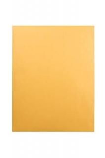 Catalog Envelope 12 x 15 1/2 Light Brown 100/Box 
