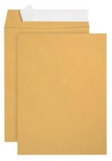 100 6 x 9 Self Seal Golden Brown Kraft Catalog Envelopes - Oversize 6 x 9 Envelo