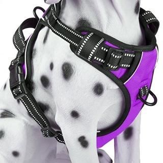PoyPet No Pull Dog Harness Reflective Vest Harness with Front and Back 2 Leash A