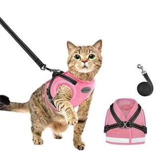 AVCCAVA Cat Harness and Leash for Walking Kitten Escape Proof Harnesses Adjustab