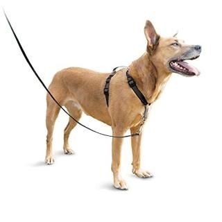 PetSafe 3in1ϡͥߥǥࡢ֥å