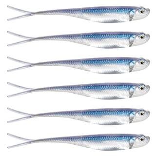 Dr.Fish եȥץ饹å٥ ե롼ơ եȥ륢 å  Х եå󥰥륢å 3 ʣ