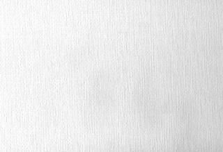 Brewster 497??96294?HessianڥȲǽۥƥɻ桢 497-96294 1