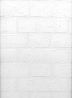 Brewster Belden ڥȲǽɻ 󥬥ƥ