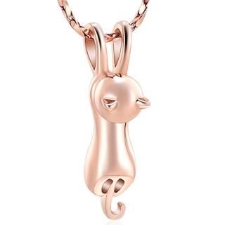 Imrsanl Pet Cremation Jewelry for Ashes Memorial Ash Jewelry Keepsake Cat Urn Pe