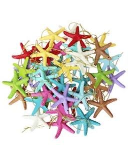 LJY 40 Pieces 2.3 Inches Resin Pencil Finger Starfish with Rope for Christmas Tr