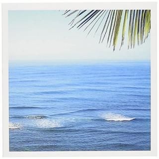 Patricia Sandersϥ磻??ϥ磻??꡼ƥ󥰥 Set of 12 Greeting Cards