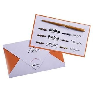 Brause 137B - Writing and Calligraphy Pack Containing 6 Nibs St?no Pfannen Cito 