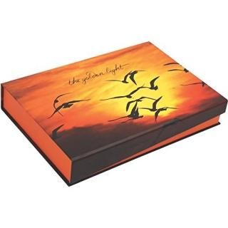 Knitter 's PrideThe Golden Light Limited Edition Interchangeable Set