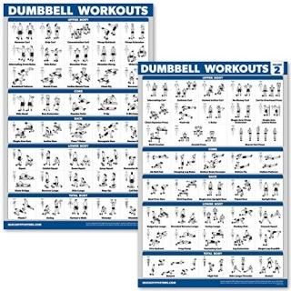 QuickFit ?bungsposter f?r Hanteln inkl. ?bungstabelle f?r Bodybuilding 457 x 686