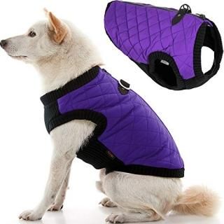 Gooby Fashion Vest Dog Jacket - Violet X-Large - Warm Zip Up Dog Bomber Vest wit