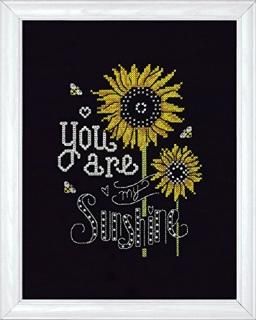 Design Works Crafts Sunshine Chalkboard Counted Cross Stitch Kit 8 by 10 by Desi