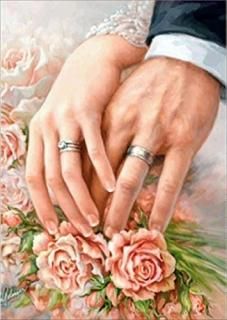 PigPigBoss åץѥɥڥƥ 5Dեɥɥɥåȥå ǥ󥰥ǥ졼󥮥ե ˤɥڥ