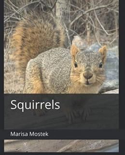 Squirrels A Squirrely Coffee Table Book