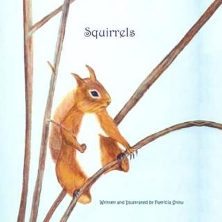 Squirrels