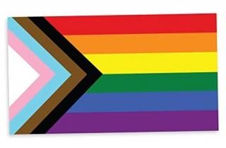 Pun Progress Pride Flag LGBTQ POC ȥ󥹥եå - ӥˡǥ륹ƥå 4