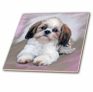 3dRose ct_4807_2  Ҹ ߥå 6