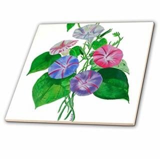 Taiche Acrylic Art??Morning Glory?? 4-Inch-Ceramic ct_18235_1