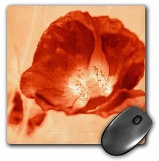 3drose LLC 8?x 8?x 0.25ޥѥåɡRed Poppy Flower  MP _ 44691?_ 1?