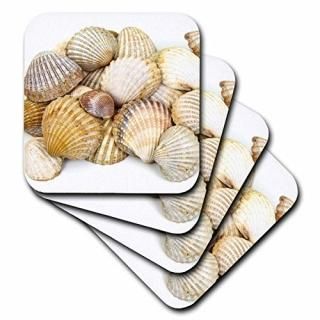 set-of-8-Ceramic - 3dRose cst_50550_4 Sea Shells by The Sea Shore Summer Beach T
