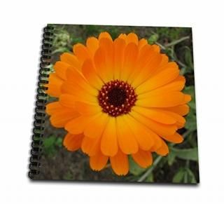 12x12 memory book - Taiche - Photography - Marigolds - Summers Bride - flower as
