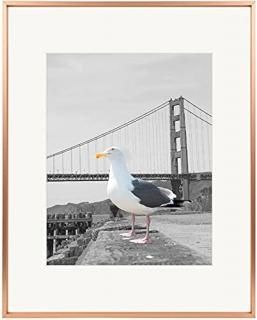 Frametory16x20᥿ԥ㡼ե졼ॳ쥯11x14̿ꥢ륬饹ɤΥܥ꡼顼ޥåդߥեȥե졼