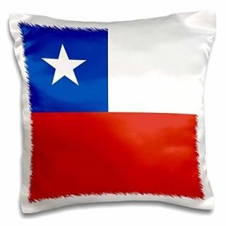 3dInspirationzStoreե饰??Chile??åɥ֥롼andۥ磻ȥ??ꥫι??America Patri