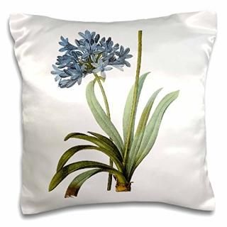 Dooni Designs Redouteե롼ĤȲ??Redouteơ̲֥롼African Lily Agapanthus Umbella