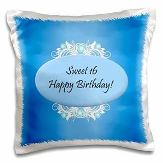 3dEdmond Hogge Jr??֥롼Sweet 16?Birthday?? 16x16 inch Pillow Case pc_38