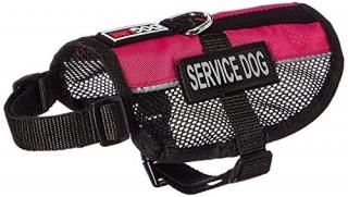 Dogline Service Dog Vest 13 by 16-Inch Pink