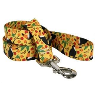 Yellow Dog Design Fruity Tucan Dog Leash 1 Wide and 5' 60 Long Large