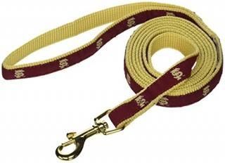 Sporty K9 Collegiate Florida State Seminoles Dog Leash Medium by Sporty K9