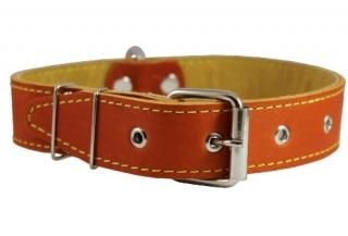 Genuine Leather Dog Collar 14-21 Neck Size 1.25 Wide Amstaff Pitt Bull