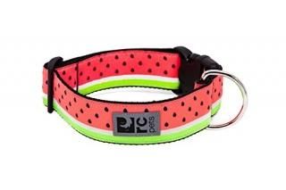 RC Pets 1-1/2 Inch Wide Adjustable Dog Clip Collar Large Watermelon